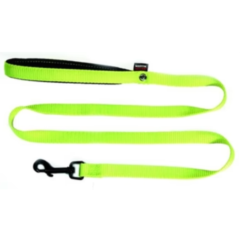 Hundeleine Nylon Grün
